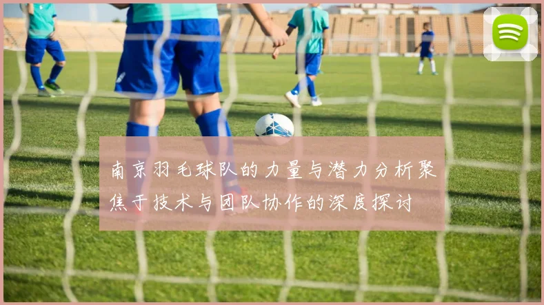 南京羽毛球队的力量与潜力分析聚焦于技术与团队协作的深度探讨